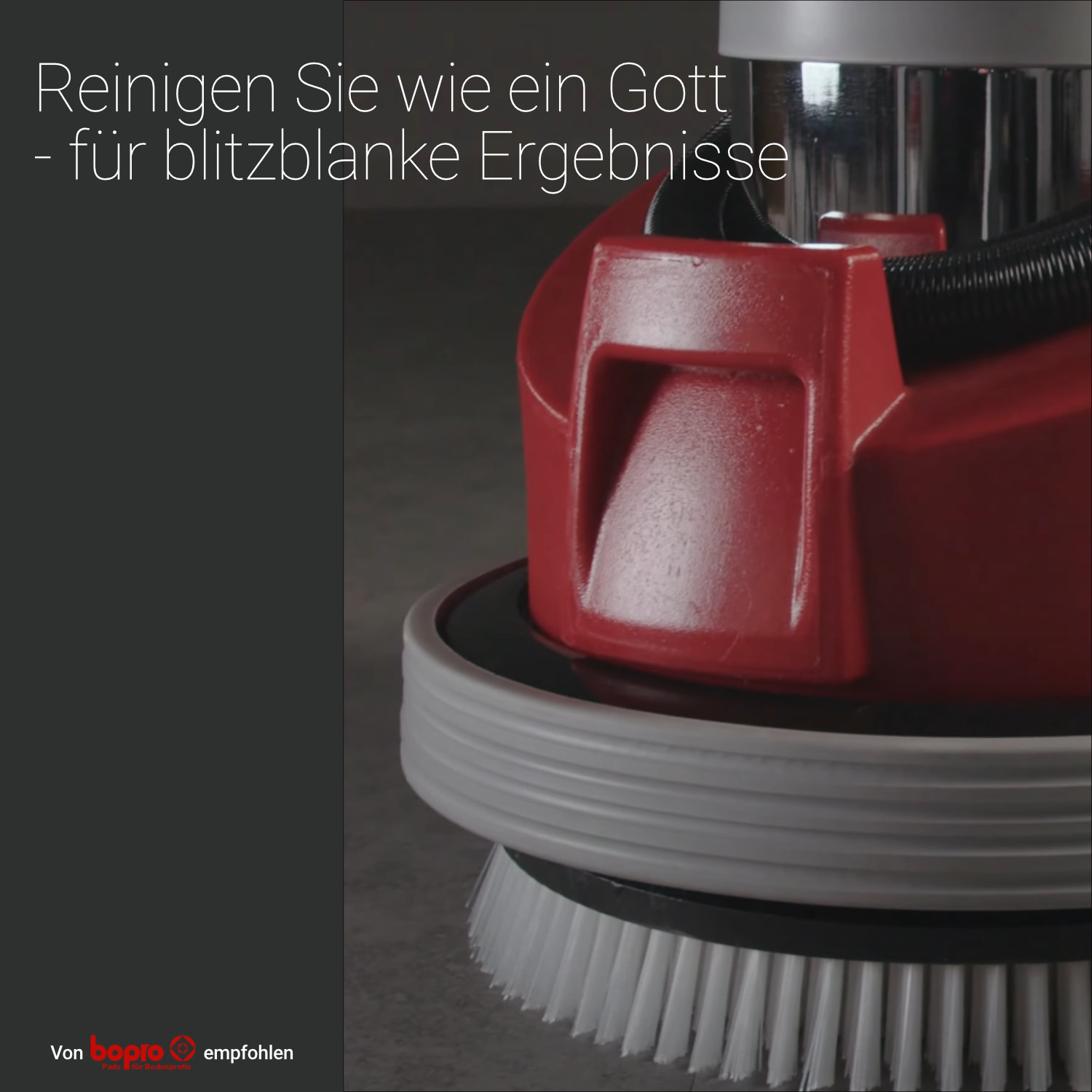 SPRINTUS Zeus Einscheibenmaschine mit Tank, Bürsten und Treibteller