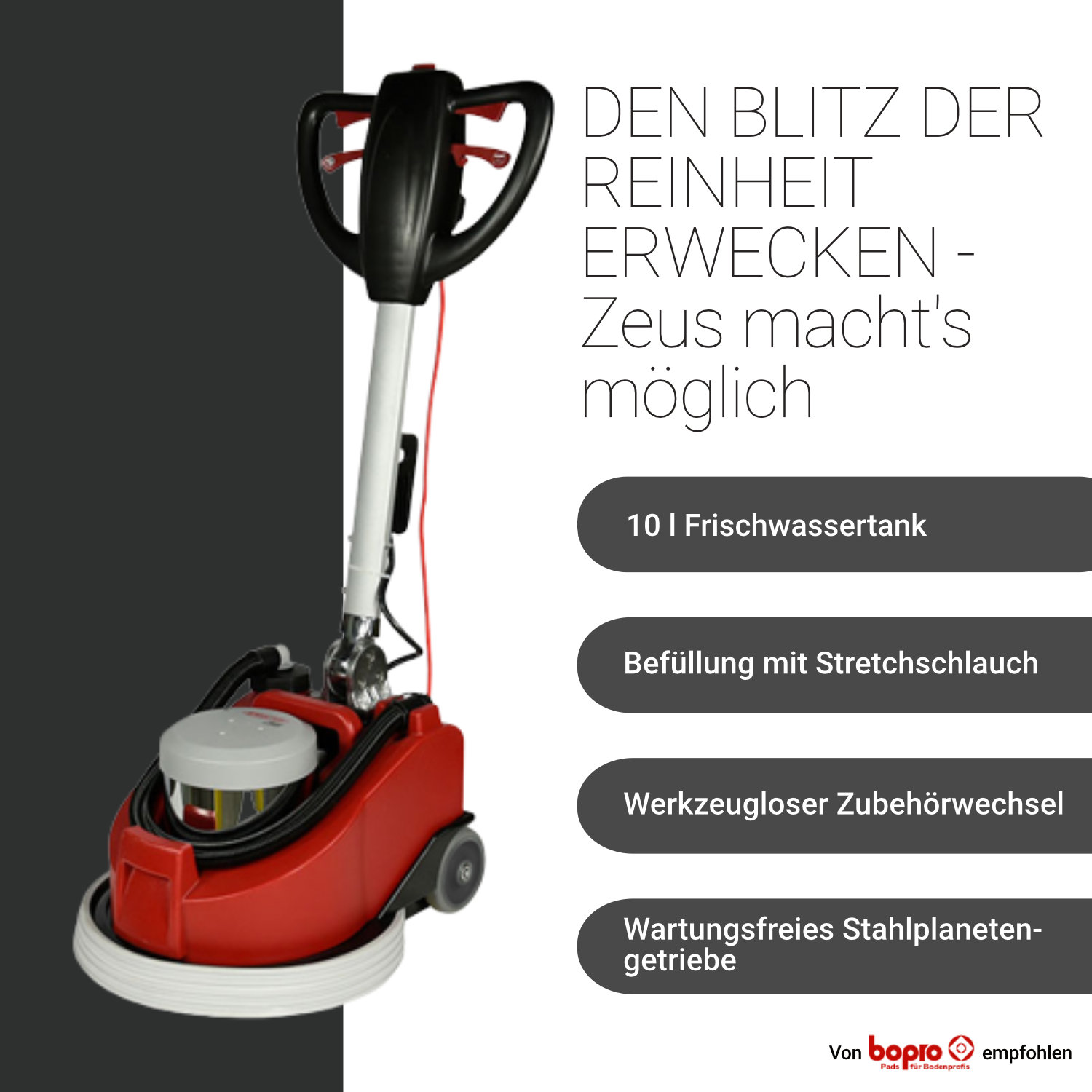 SPRINTUS Zeus Einscheibenmaschine mit Tank, Bürsten und Treibteller