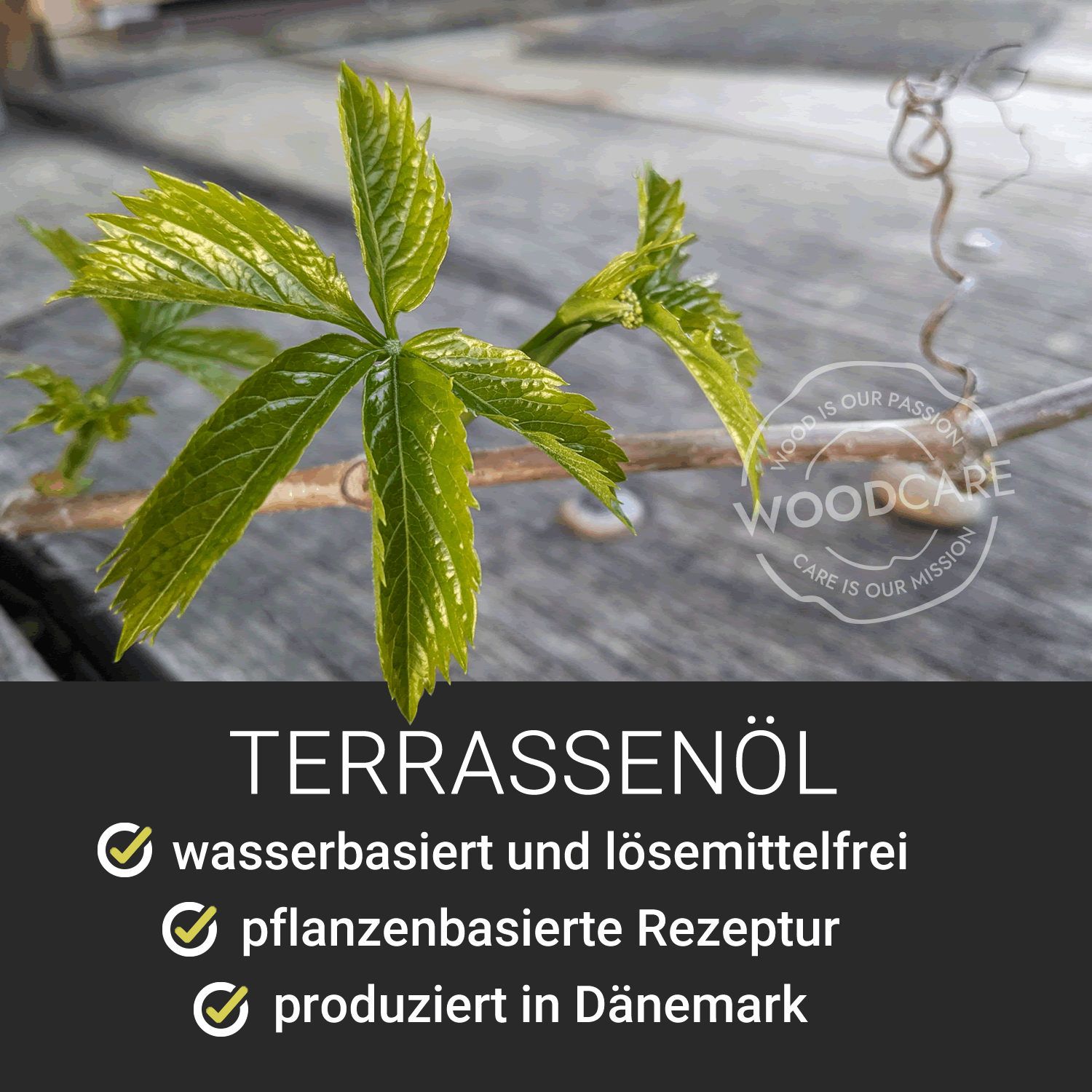 WOCA Terrassenöl natur im 3l +20% Aktionsgebinde